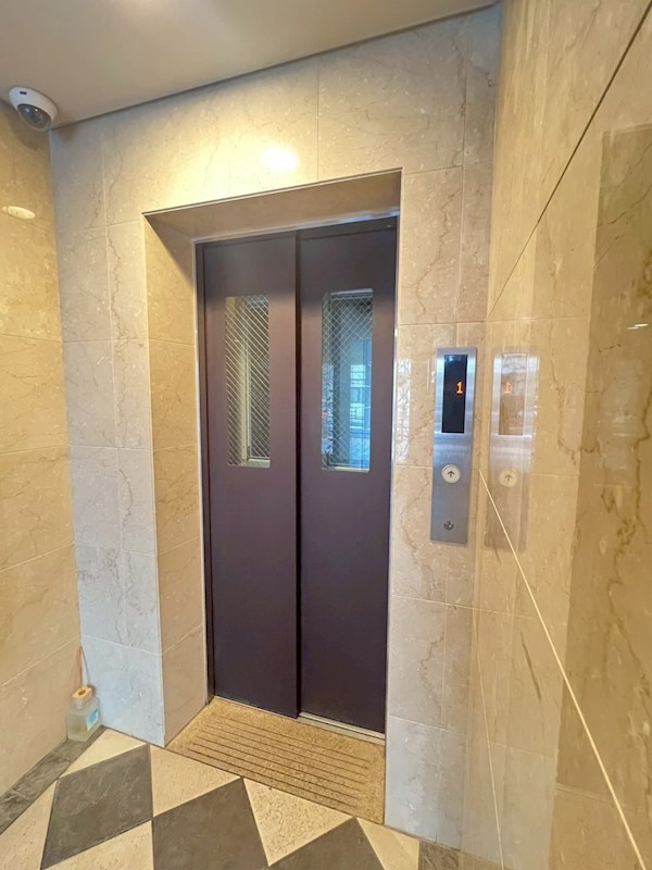 Verdesian その他9