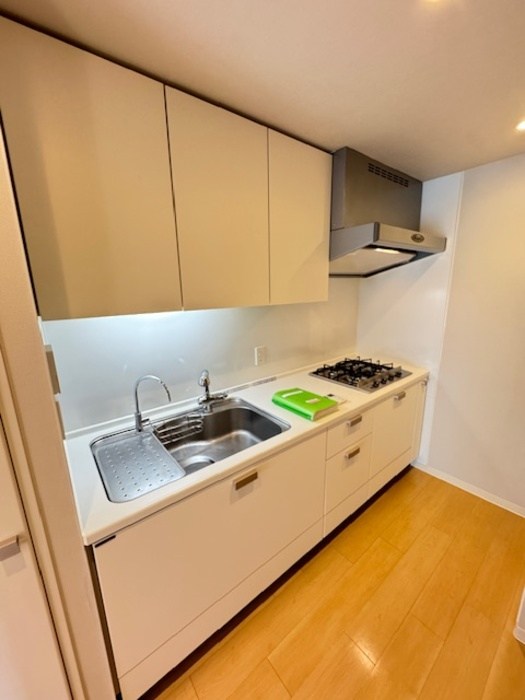 カスタリア銀座Ⅱ キッチン