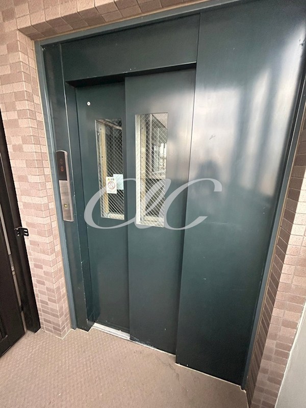 アルカディア その他3