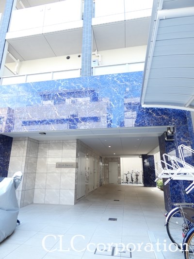 Blue Forest その他6