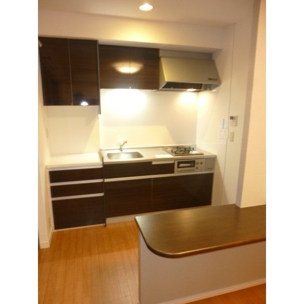 ロータスハウス キッチン