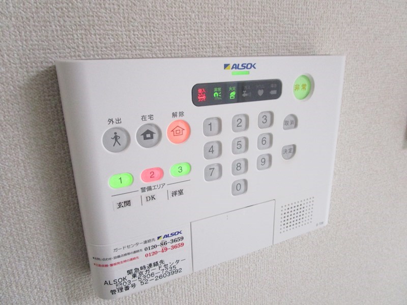 ルピナス  その他1