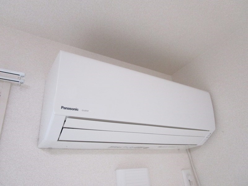 ルピナス  その他2