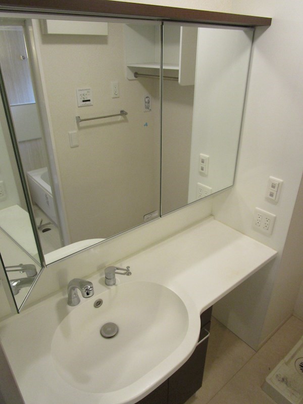 ルピナス  その他3