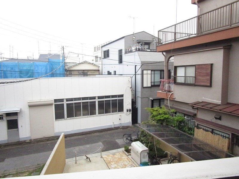 ルピナス  その他6