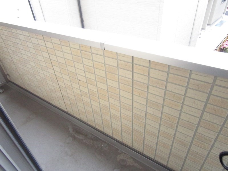 ルピナス  ベランダ