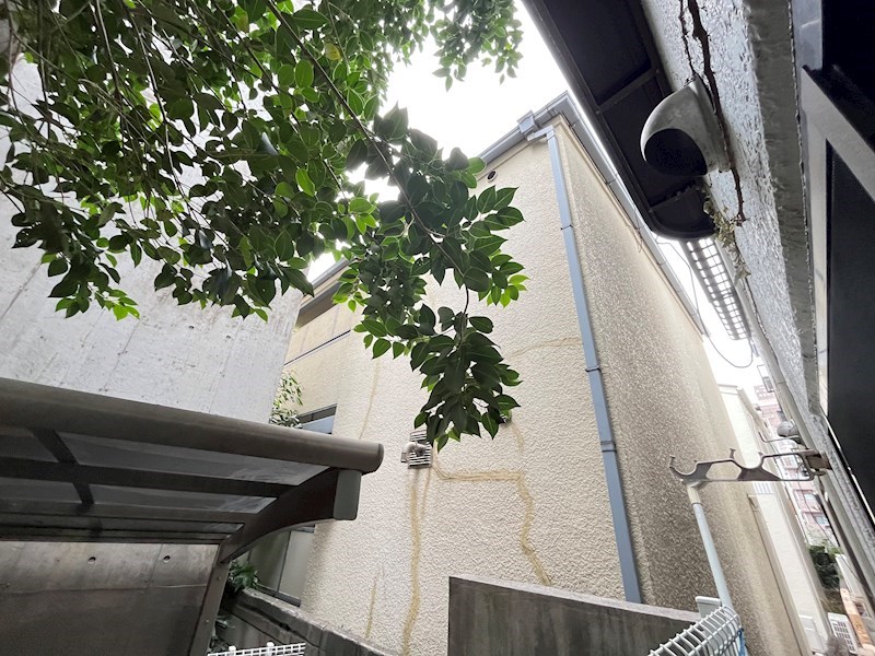 メゾンブランシェ その他4