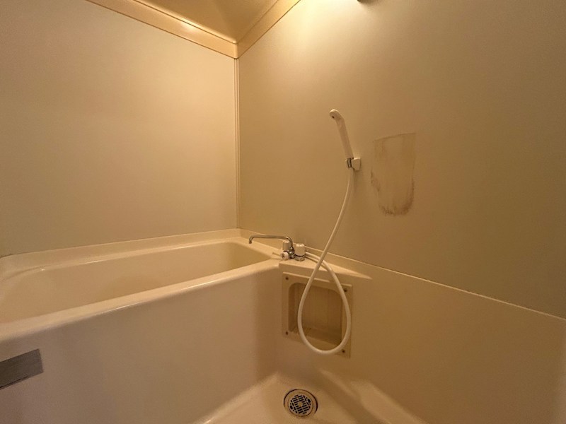 エルジーナ柴又 風呂画像