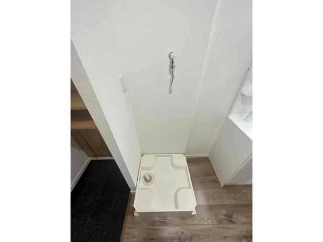 ラッシュグラス その他1