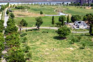 大一ビル 周辺画像7