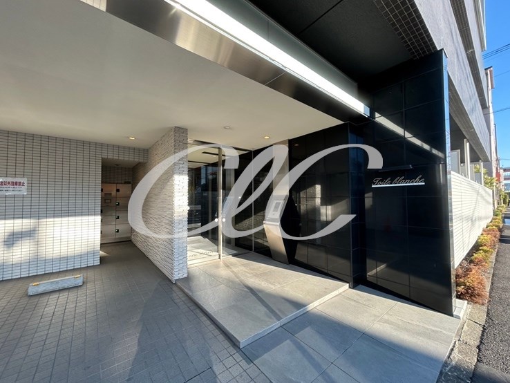 Toile blanche その他9