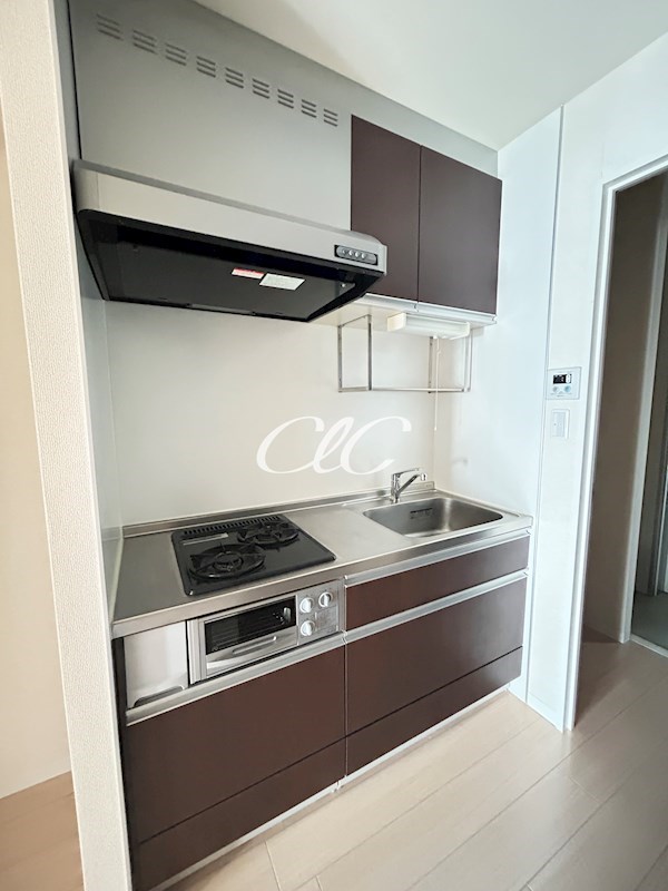 Ｐｌａｉｓｉｒ　Ｏｈｎｕｋｉ キッチン