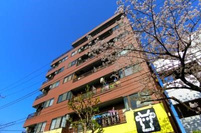 花みずきⅡ 外観