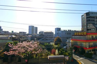 花みずきⅡ その他9