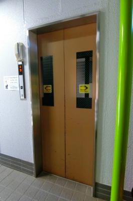 花みずきⅡ その他11