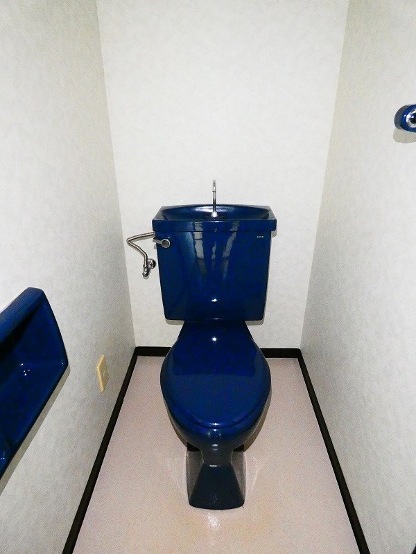 カーソルサヴァリンナ その他1