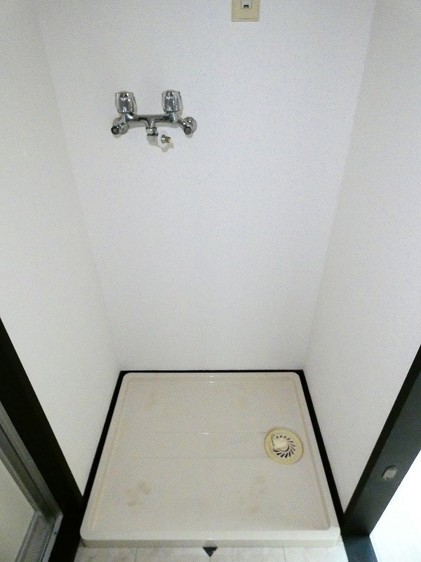 カーソルサヴァリンナ その他5