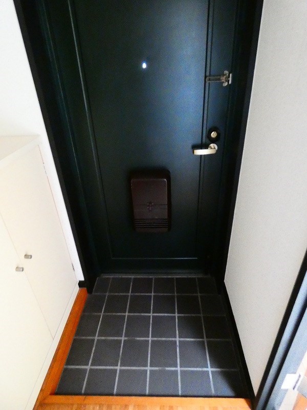 カーソルサヴァリンナ 玄関