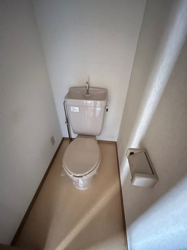 ラクダ その他1