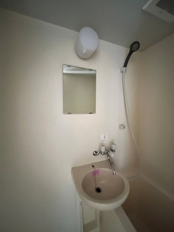 ラクダ その他3