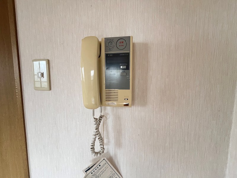 ラクダ その他4