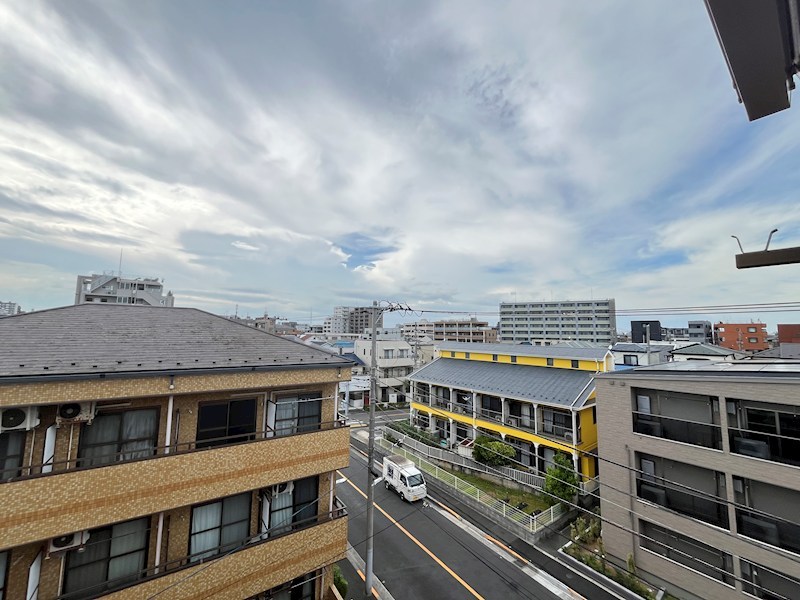 ラクダ その他5