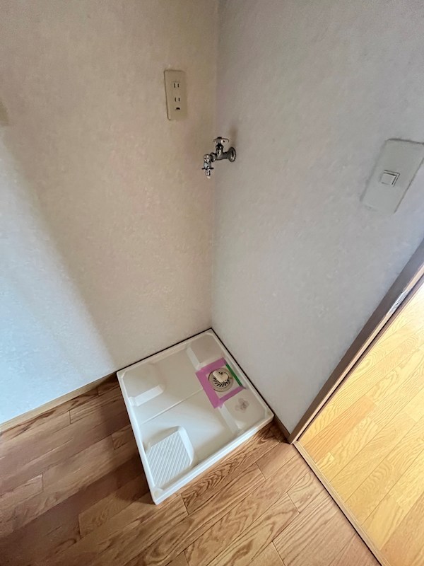 ラクダ その他6