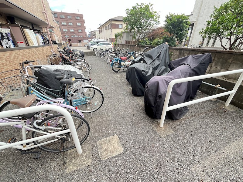 ラクダ その他8