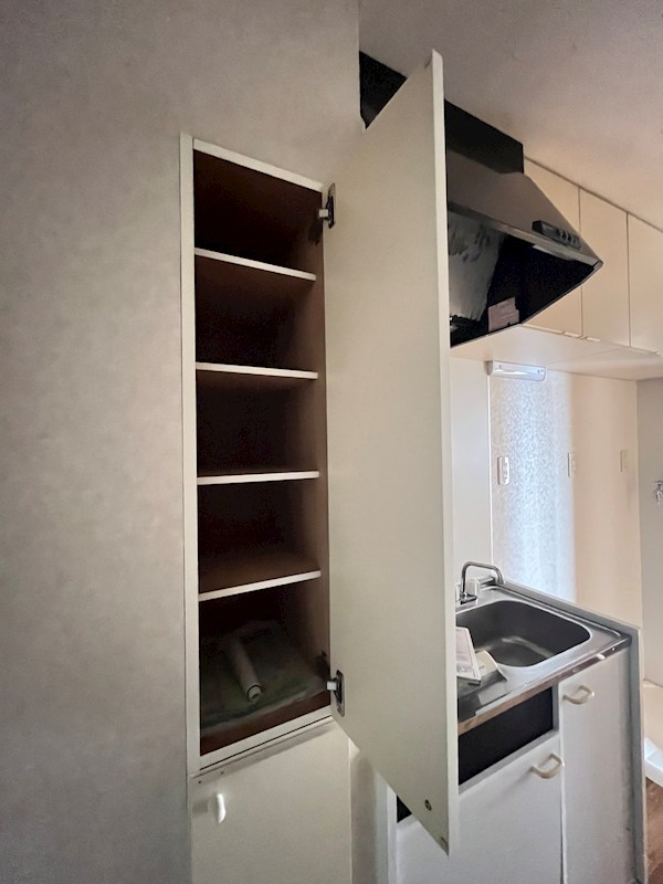 ラクダ その他9