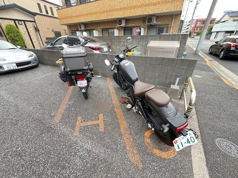 ラクダ その他10