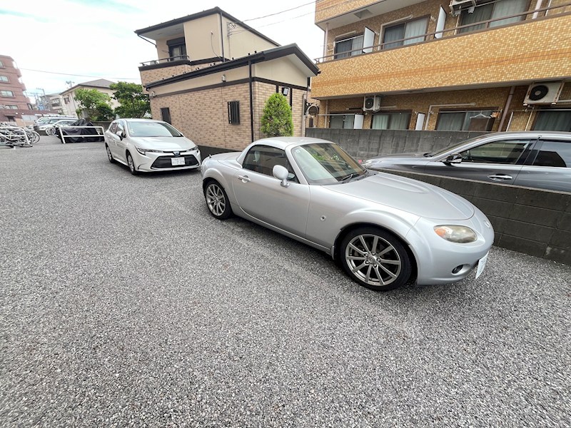 ラクダ その他12