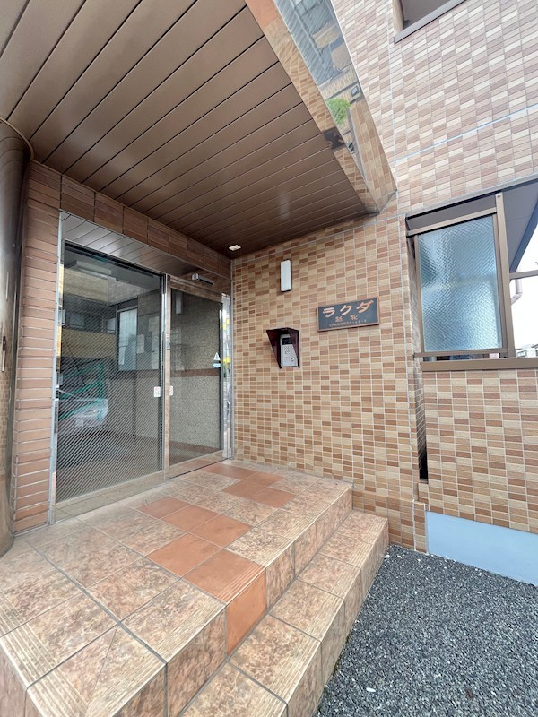 ラクダ その他13