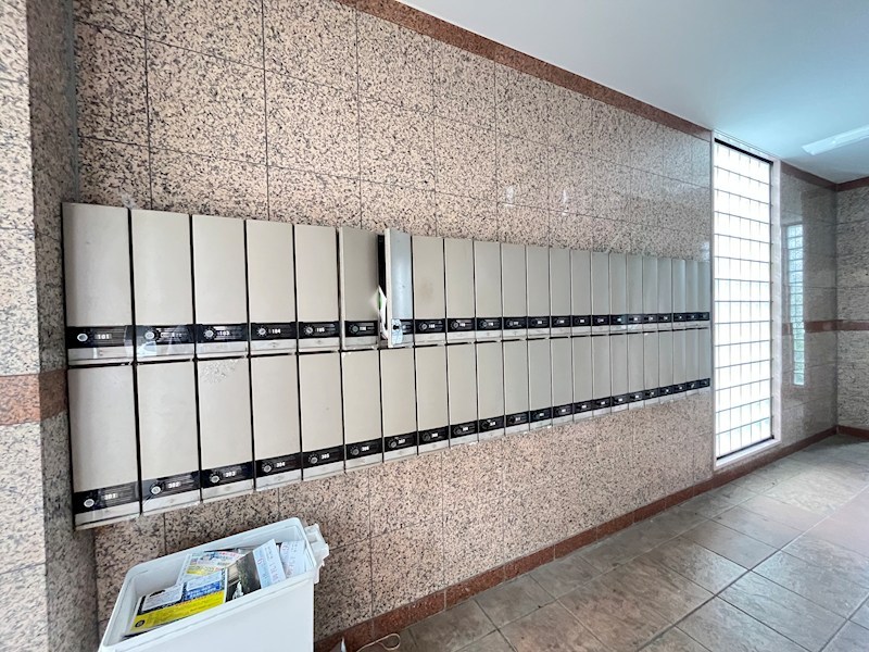 ラクダ その他14