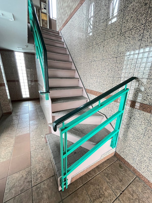 ラクダ その他15