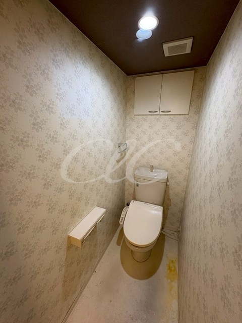 プラチナコート その他1