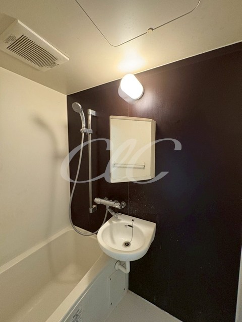 プラチナコート その他2