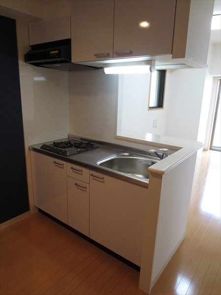 ラブールミノワ  キッチン