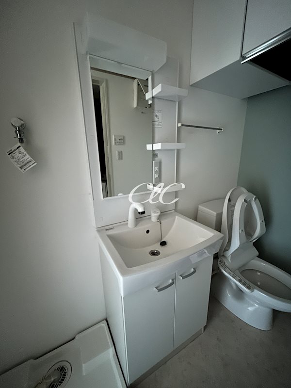 コルビジェスリー その他1