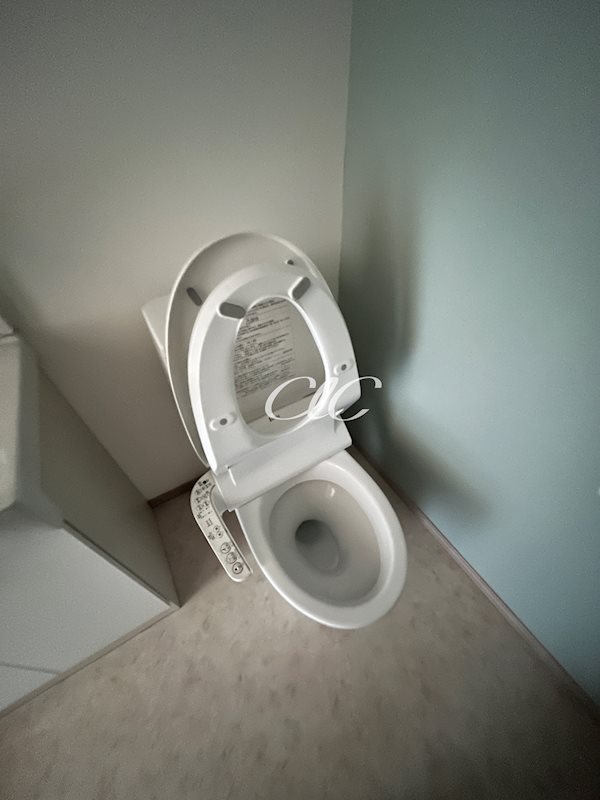 コルビジェスリー その他2