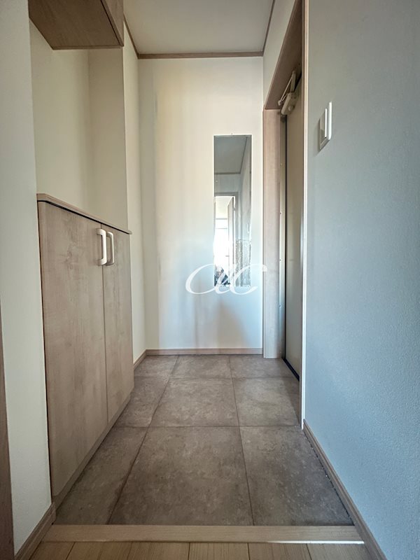 コルビジェスリー 玄関