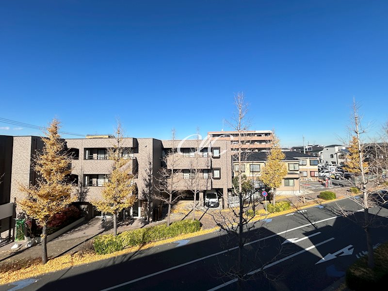 コルビジェスリー その他7