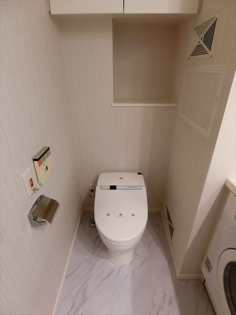 カスタリア銀座Ⅲ その他3