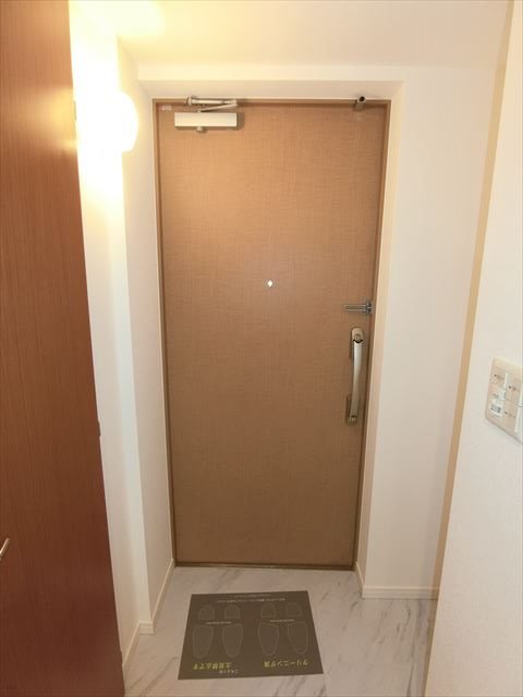 カスタリア銀座Ⅲ 玄関