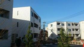 ラシーネ扇サクラ その他6