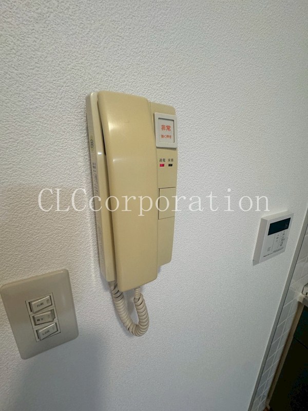 ヴィクトリー鈴木 その他4