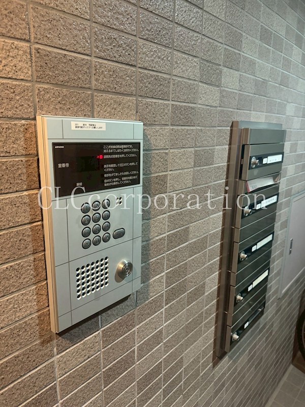 ヴィクトリー鈴木 その他11