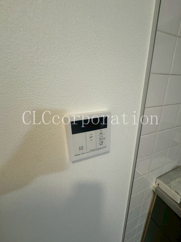 ヴィクトリー鈴木 その他15