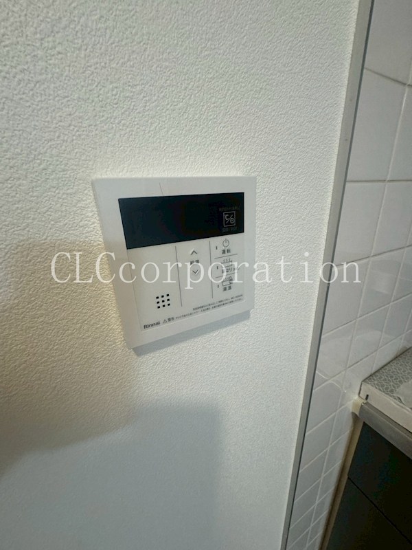 ヴィクトリー鈴木 その他17