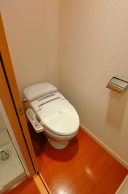 リブリ・クローバー その他5