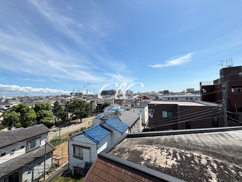 レスプランドールピュア その他3